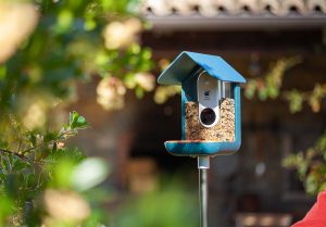 Smartes Vogelfutterhaus mit Kamera