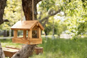 Vogelfutterhaus-Bausatz zum selber bauen