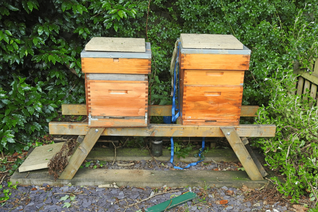 Bienenbeuten aus Holz